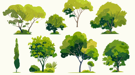 Diverse Trees: A vibrant collection of diverse tree illustrations showcasing variations in shape, size, and foliage, ideal for design and environmental projects.