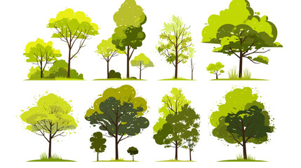 Lush Assortment of Trees: A vibrant collection of diverse trees displays a variety of shapes and foliage. Showcasing the beauty of natural diversity.