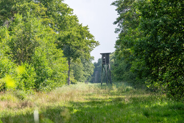 Wooden observation tower in the middle of the meadow in summer
