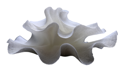 Abstract, sculpted form of pleated, off-white fabric,  draped and textured, against a black background