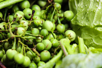fresh Pea eggplant healthy food
