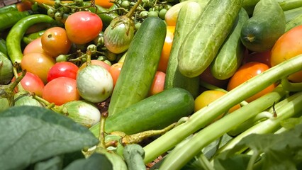 Fresh vegetables for cooking. Vegetables contain dietary fiber that helps cleanse the intestines.