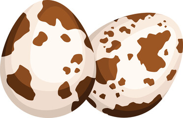 vector illustration of a pair of quail eggs