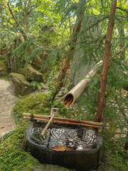 old wooden water pipe in forest 