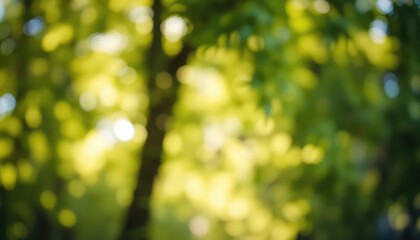 Obraz premium Abstract background showing blurred sunlight through trees, creating a dreamy, light-filled and organic atmosphere