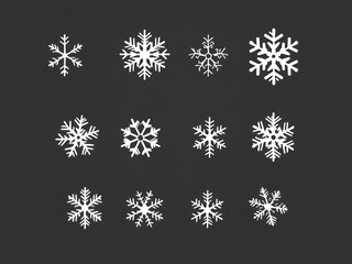 Collection of twelve unique white snowflakes on dark gray background