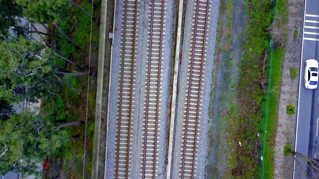 Top-Down Aerial View of Parallel Railway Tracks Surrounded by Greenery