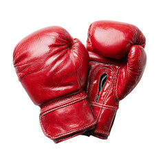  Boxing gloves