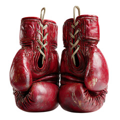  Boxing gloves