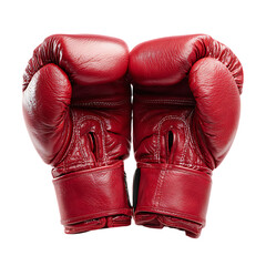  Boxing gloves