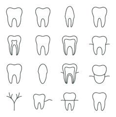 Dental linear icon set. containing tooth, molar, incisor, root canal, cavity, orthodontics, braces, gum, enamel.