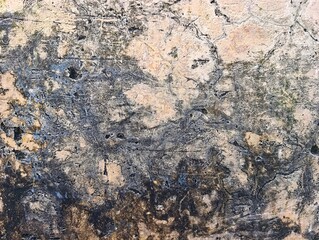 yellowish abstract grunge wall photo as background