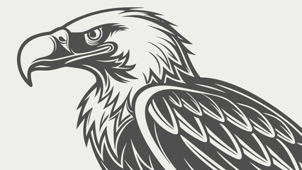 Fototapeta premium eagle head vector