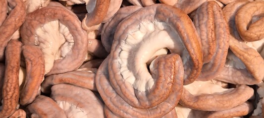 Pork soft filling for Asian Cooking
