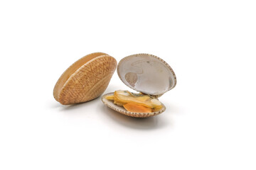 Closed up fresh baby clams. venus shell. shellfish. carpet clams. short necked clams. as raw food from the sea are the seafood ingredients. fresh clams Background.