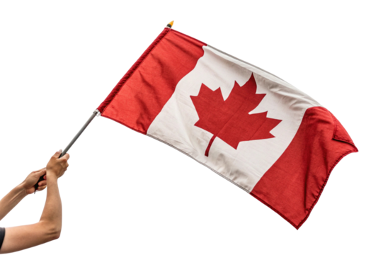 Canadian flag waving in the wind isolated on transparent background