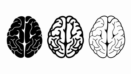 Fototapeta premium Three human brains vector silhouette 