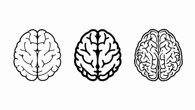 Human brains 