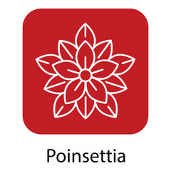 Christmas Poinsettia with Green Leaves Vector Illustration Icon Flat Design
