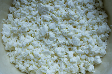 Cottage cheese in a white cup close-up, top view