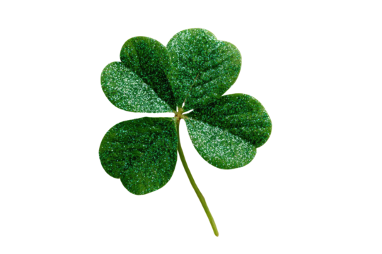 Close-up of a vibrant green four-leaf clover, sharply focused against a black background.  Detailed leaf structure with subtle variations in shades of green, outlined by a thin, light border