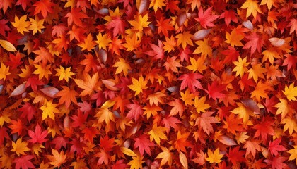 A Vivid Tapestry of Crimson, Amber, and Gold A Dense Covering of Deciduous Foliage Forms a Textural Autumnal Mosaic