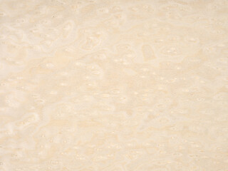 A symphony of pale cream and soft beige, the intricate patterns of this veneer tell tales of serene woodlands