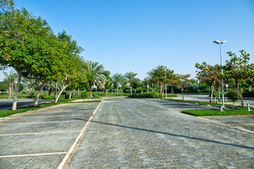 Palm Park in Abu Dhabi
