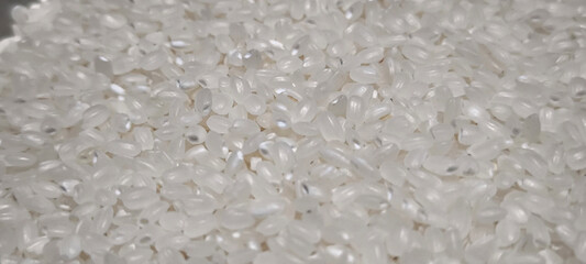 Close up of japanese rice. Japanese rice grains for background. Sushi Ingredients.