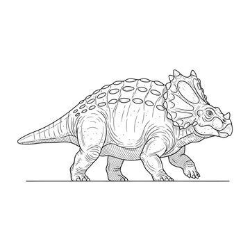 Centrosaurus Dinosaur Line Art Illustration