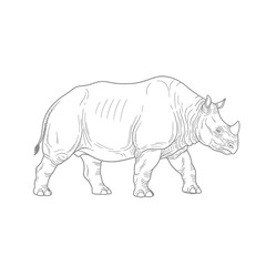 Obraz premium Wildlife rhinoceros line drawing