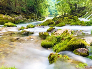 岩場を流れる渓流と森林の風景