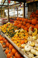 Orange and yellow pumpkins at the farmer's market. Harvest time in autumn.