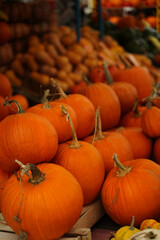 Orange and yellow pumpkins at the farmer's market. Harvest time in autumn.