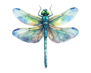 watercolor dragonfly vector illustration isolated on white background
