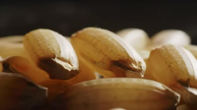 close up of garlic