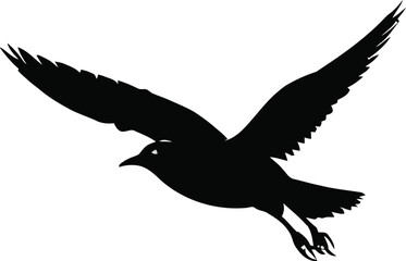 vector illustration of a bird