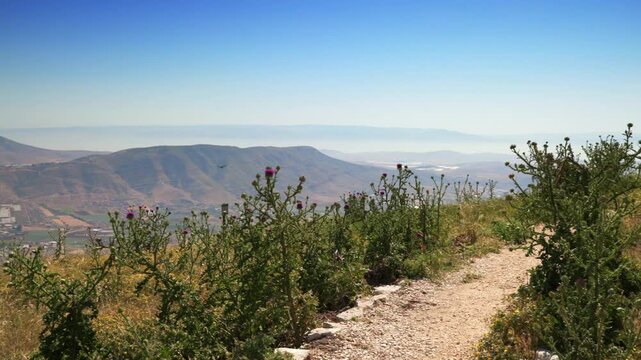 panorama in samaria israel of mountains and flying bird. High quality 4k footage