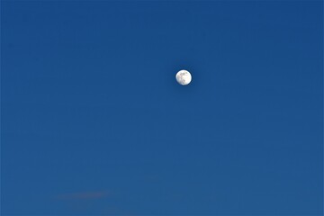 The moon in the blue sky in the morning. The full moon in the sky with copy space 