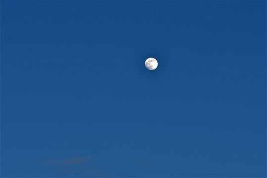 The moon in the blue sky in the morning. The full moon in the sky with copy space 