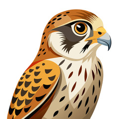 bird on a white background