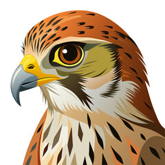 eagle head isolated on white