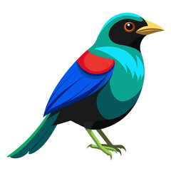 blue bird on a branch