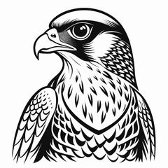 eagle vector illustration