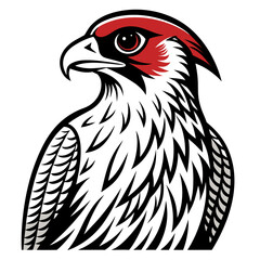 vector illustration of an eagle