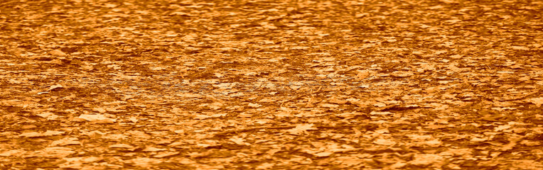 background backdrop of many brown yellow fallen leaves, autumn park in perspective, carpet of dry fallen leaves on the ground in the forest