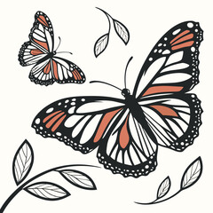 butterfly vector illustration