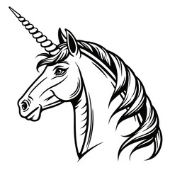 black and white horse