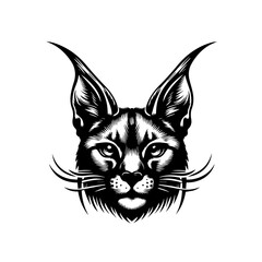 Fototapeta premium Fierce Caracal Wild Cat Head Illustration.