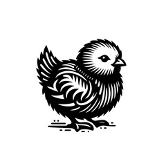 Obraz premium Stylized Black and White Chick Illustration.